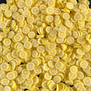 100 grams 10mm Lemon Slices Citrus Fruit Fake Food Fimo Slices Slime Polymer